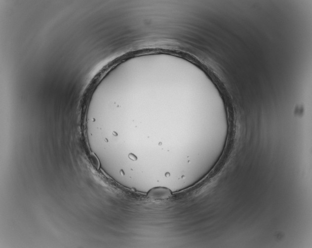 X0000113150830200909251326