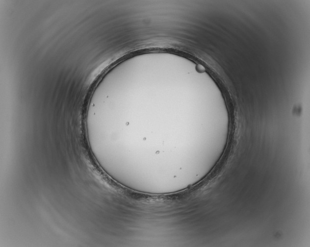 X0000113150834200909251326