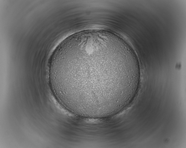 X0000113150835200909251326