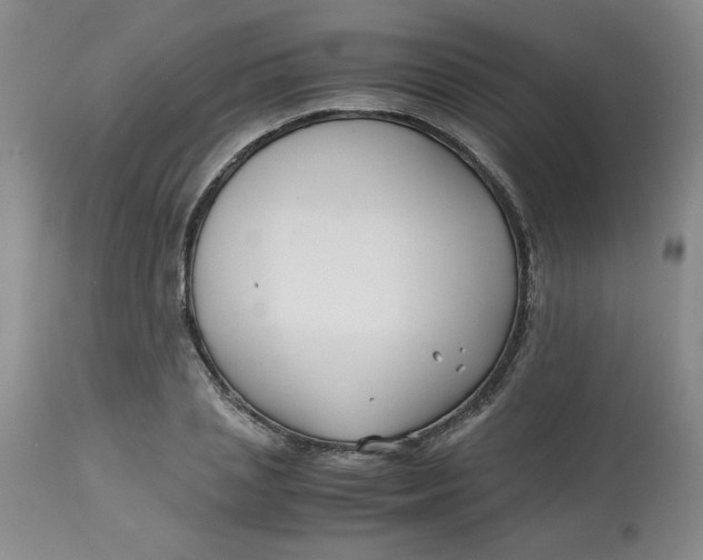 X0000113150837200909251326