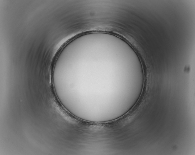 X0000113150838200909251326