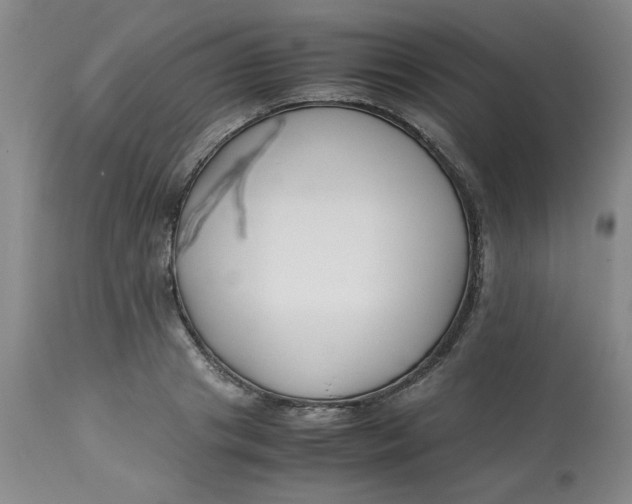 X0000113150841200909251326