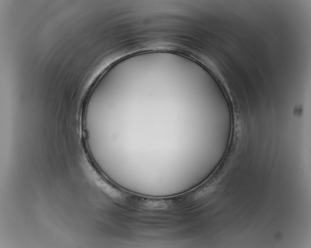 X0000113150843200909251326