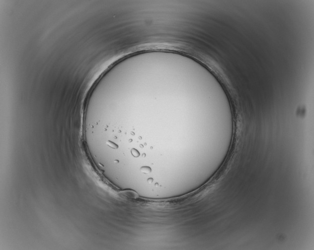 X0000113150844200909251326