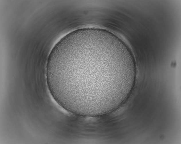 X0000113150847200909251326