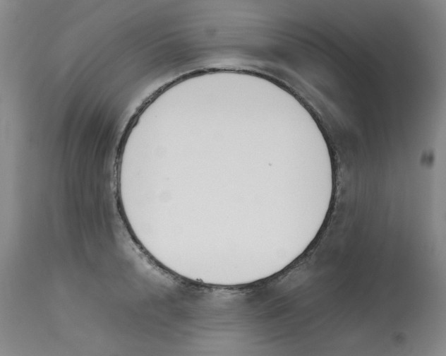 X0000113150848200909251326