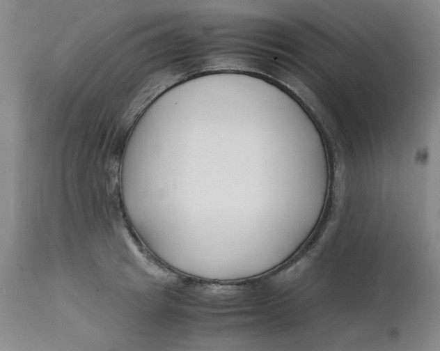 X0000113150849200909251326