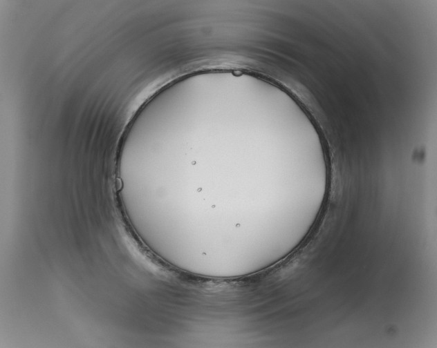 X0000113150850200909251326