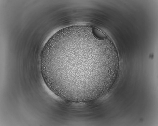 X0000113150851200909251326