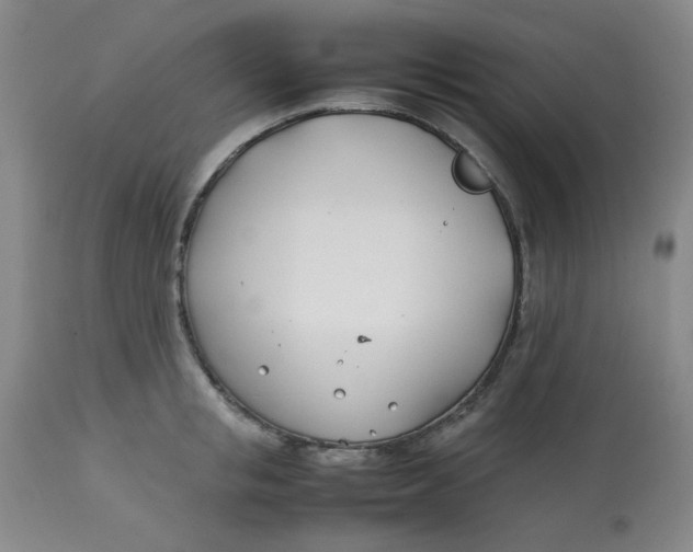 X0000113150853200909251326