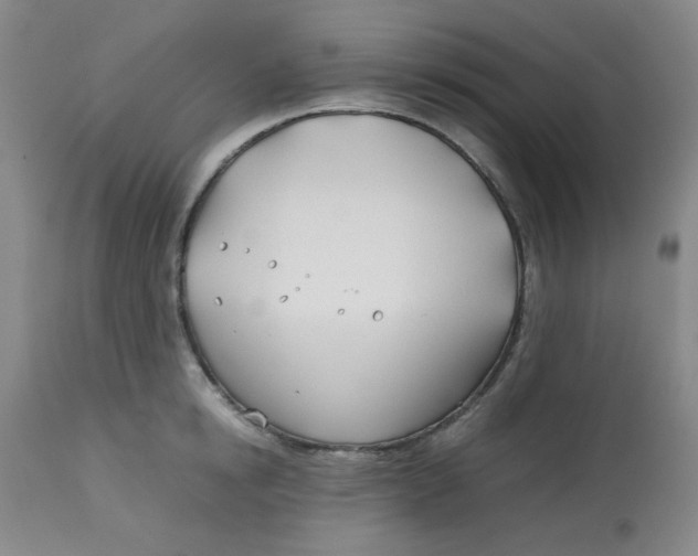 X0000113150854200909251326