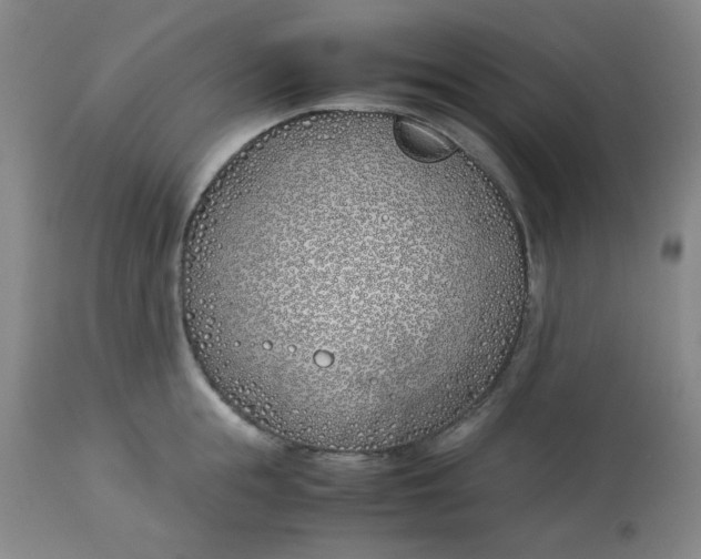 X0000113150855200909251326