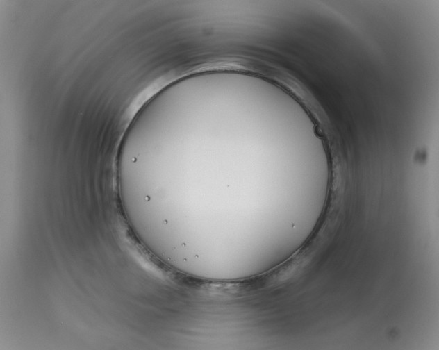 X0000113150858200909251326