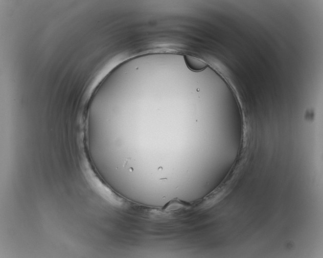 X0000113150859200909251326