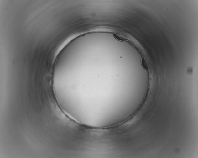 X0000113150860200909251326