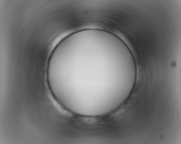 X0000113150861200909251326