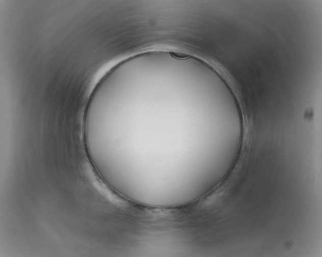 X0000113150862200909251326