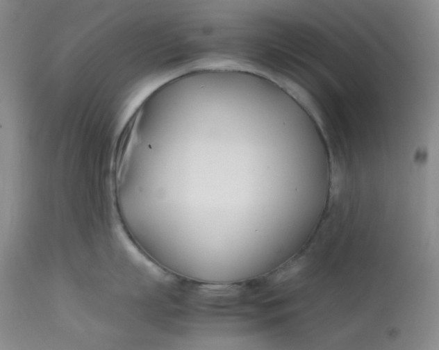 X0000113150863200909251326