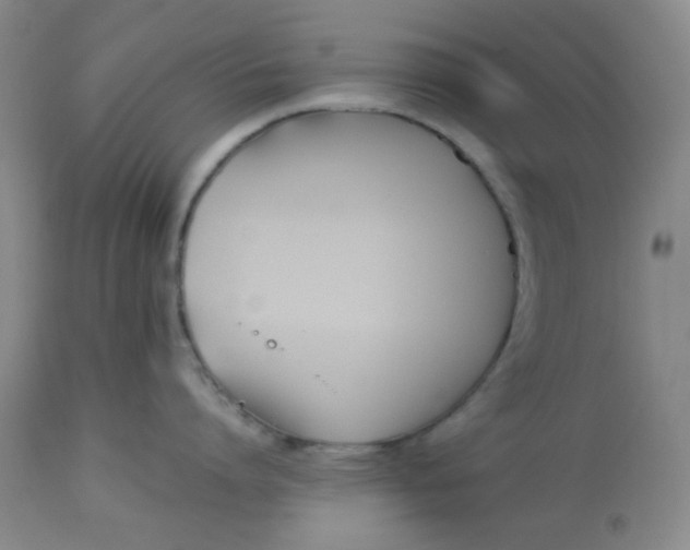 X0000113150864200909251326