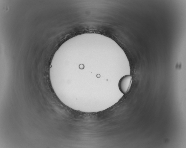 X0000113150865200909251325