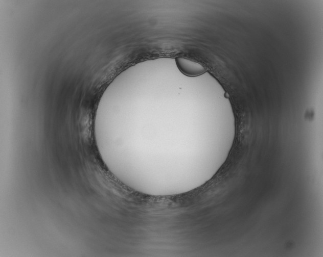 X0000113150866200909251325