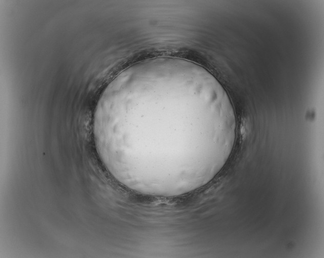 X0000113150867200909251325