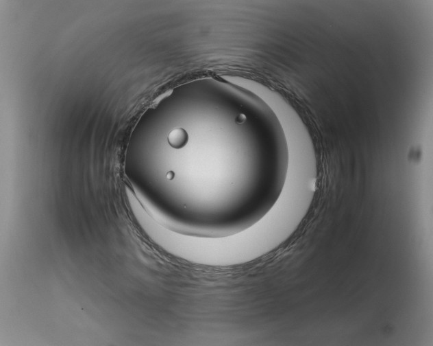 X0000113150868200909251325