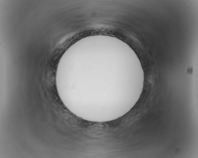 X0000113150869200909251325