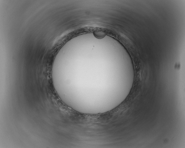 X0000113150870200909251325