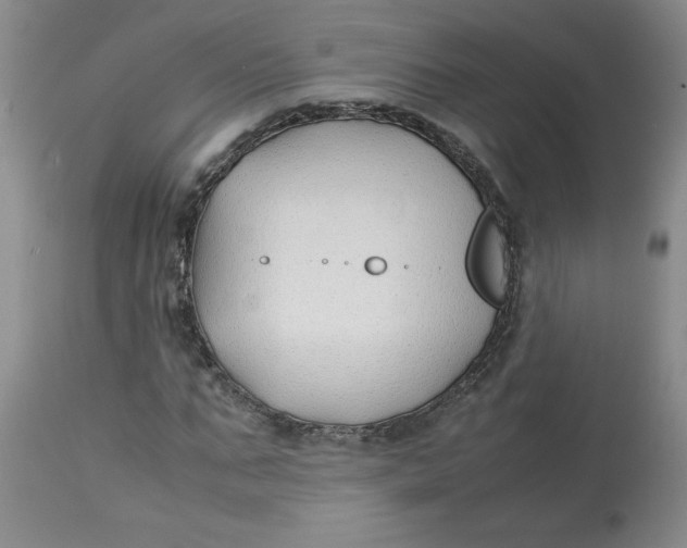 X0000113150871200909251325