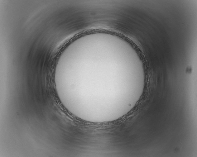 X0000113150872200909251325