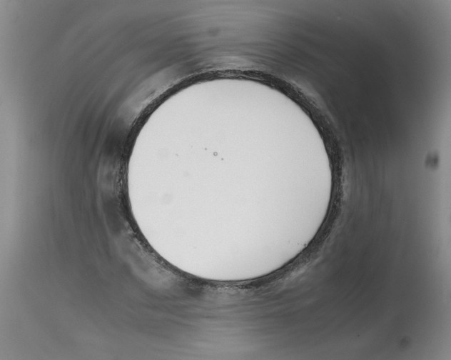 X0000113150873200909251325