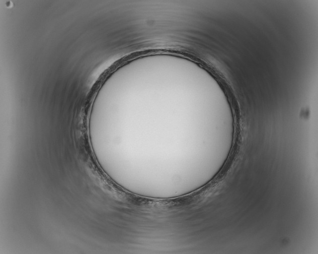 X0000113150875200909251325