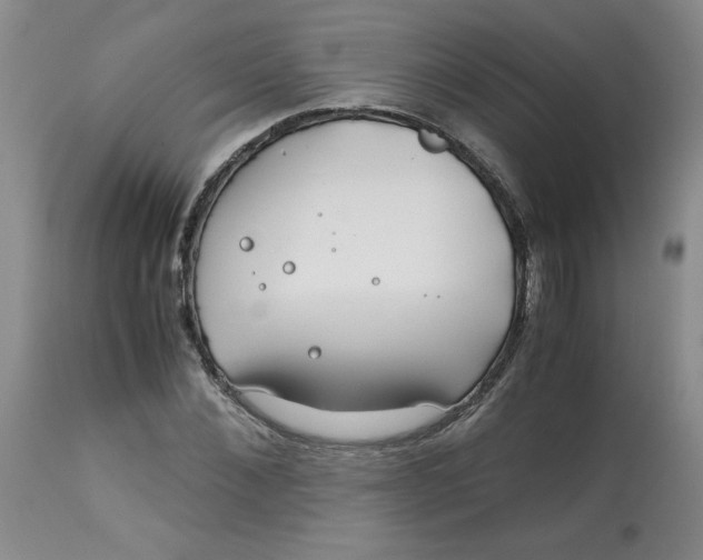 X0000113150876200909251325