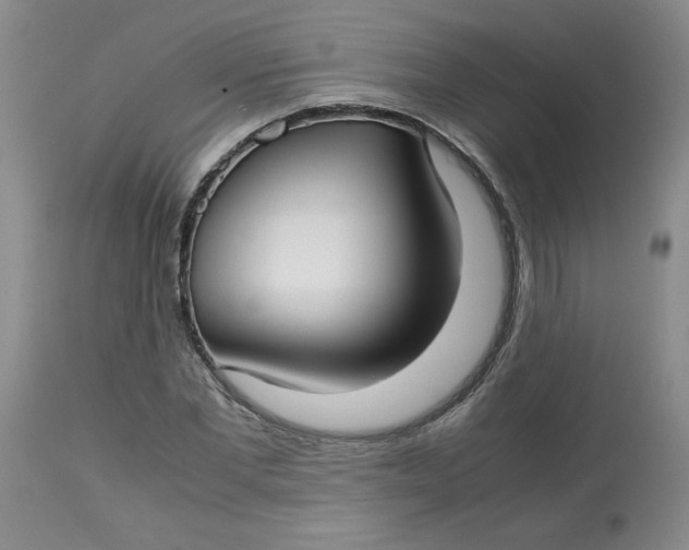 X0000113150877200909251325