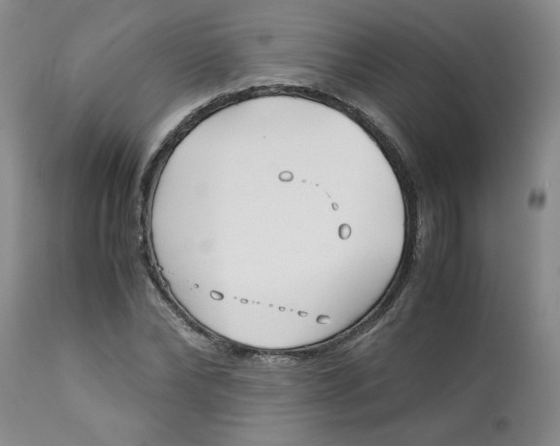 X0000113150878200909251325