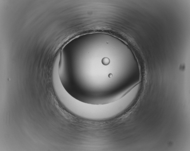 X0000113150881200909251325