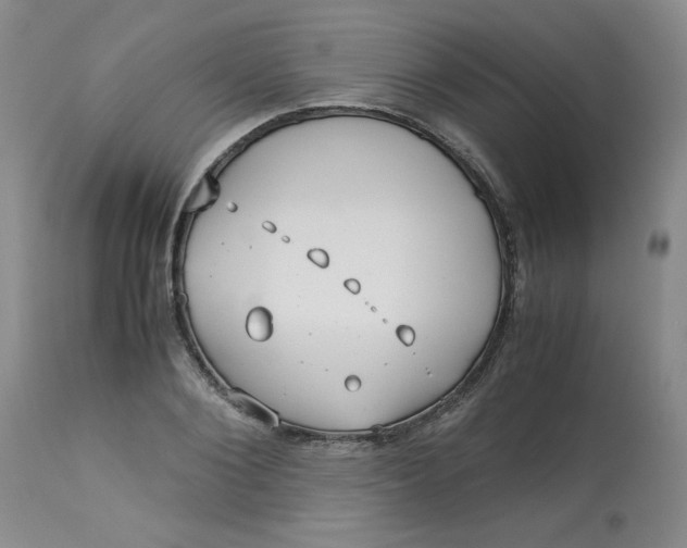 X0000113150884200909251325