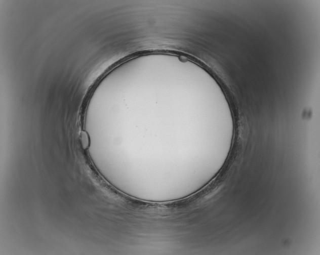 X0000113150885200909251325