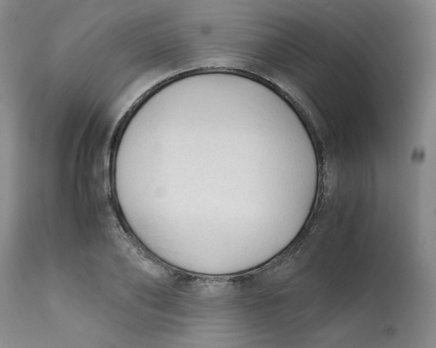 X0000113150886200909251325