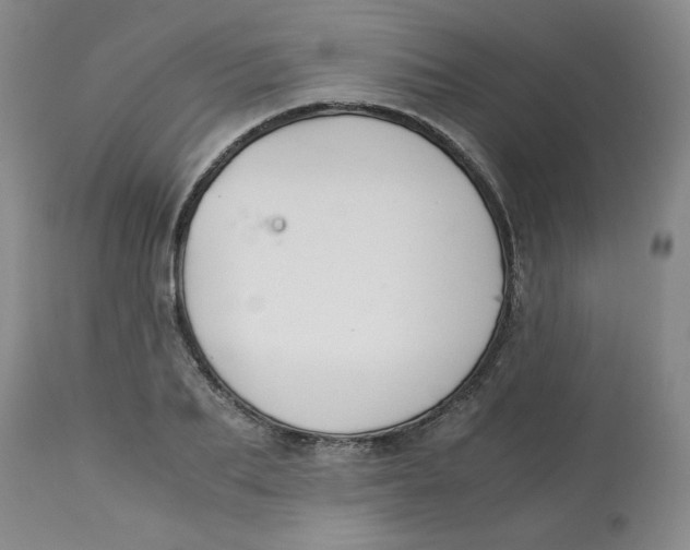 X0000113150887200909251325