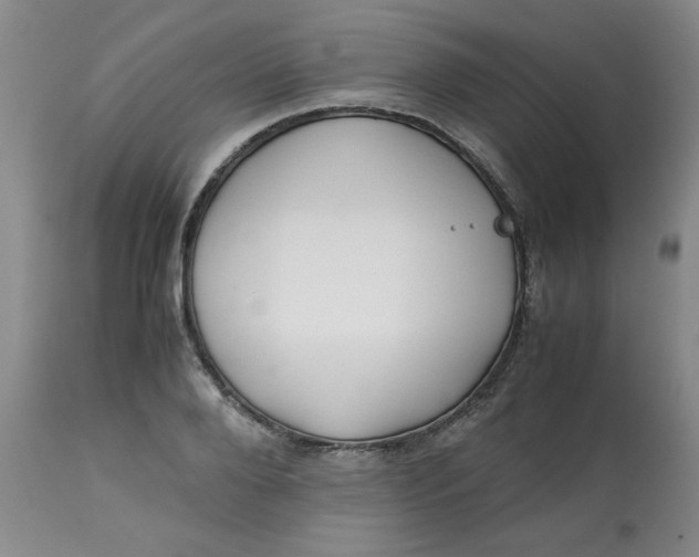 X0000113150888200909251325