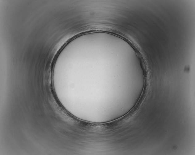 X0000113150891200909251325