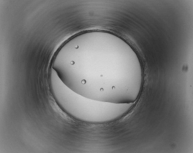 X0000113150892200909251325