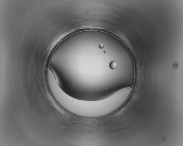 X0000113150893200909251325