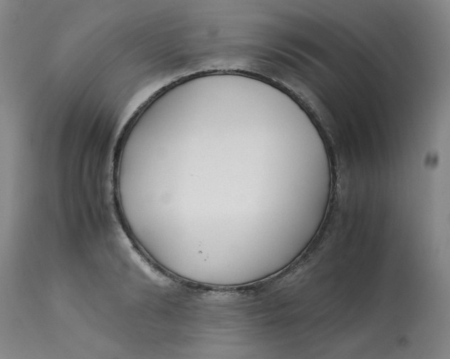 X0000113150894200909251325