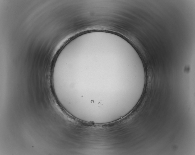 X0000113150896200909251325