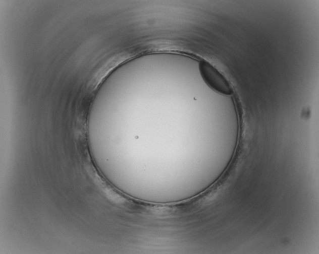 X0000113150897200909251325