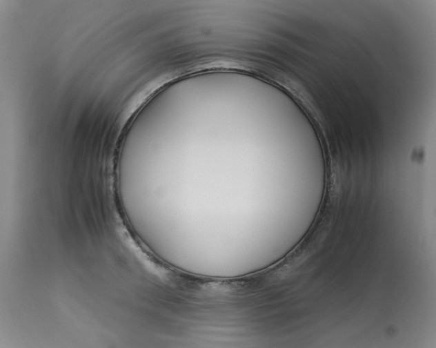 X0000113150898200909251325