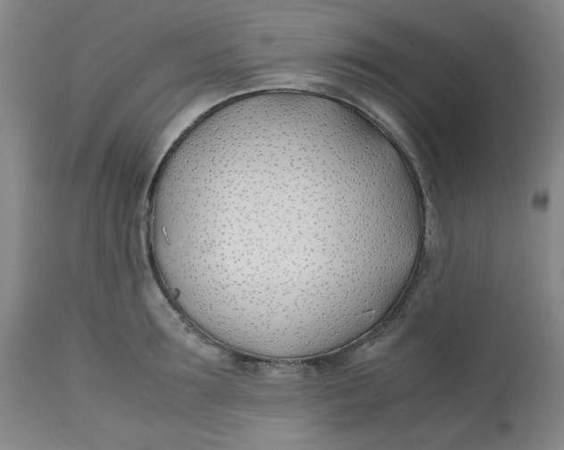 X0000113150899200909251325